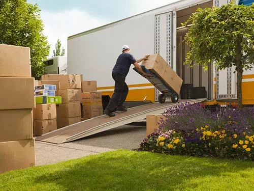 Qualidade e Satisfação – Mudanças Nova União Transportes